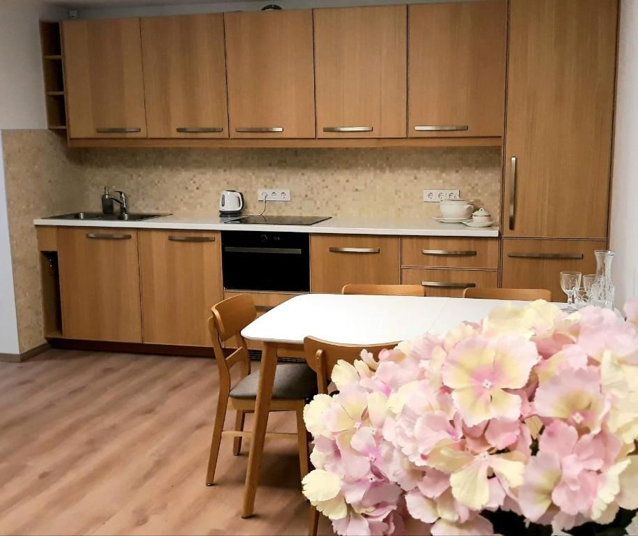 Апартаменты Apartamentai Kanto g. 6 Клайпеда-21